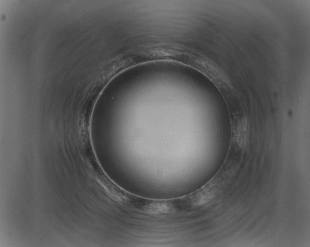 X0000082950418200702011247