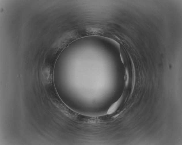 X0000082950420200702011247