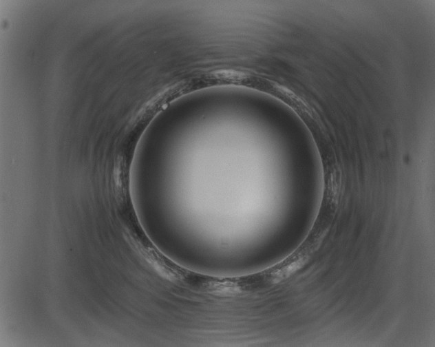 X0000082950424200702011247