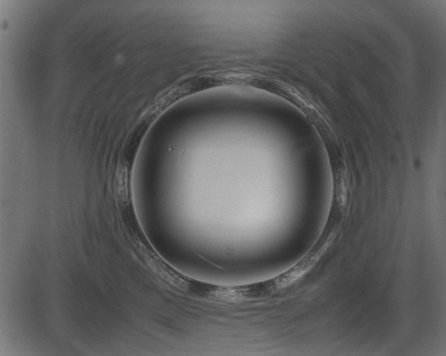 X0000082950425200702011247