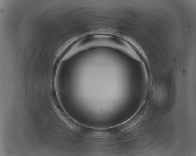X0000082950437200702011246
