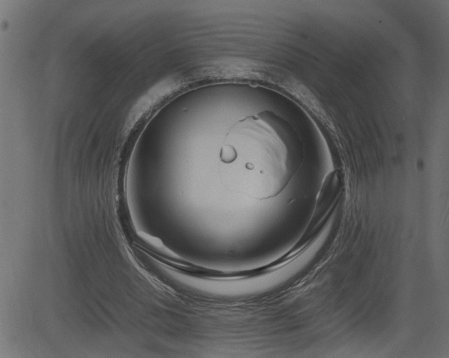 X0000082950438200702011246