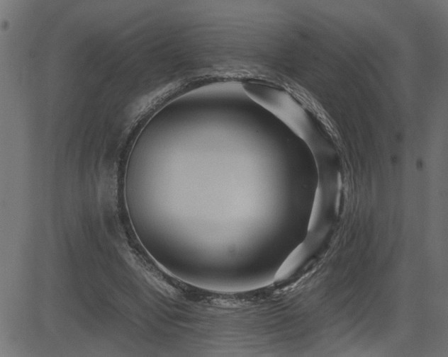 X0000082950442200702011246