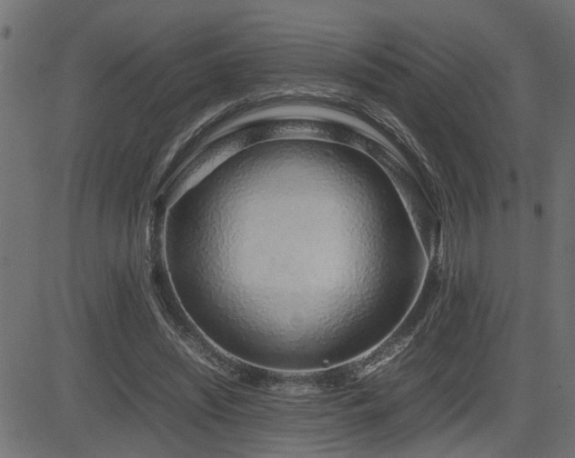 X0000082950444200702011246