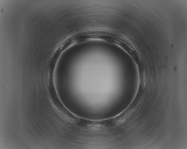 X0000082950448200702011246