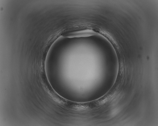 X0000082950453200702011246