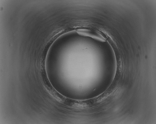 X0000082950455200702011246