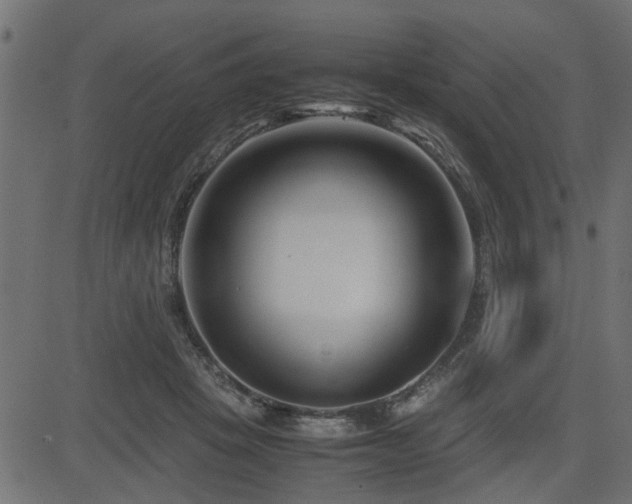 X0000082950457200702011246