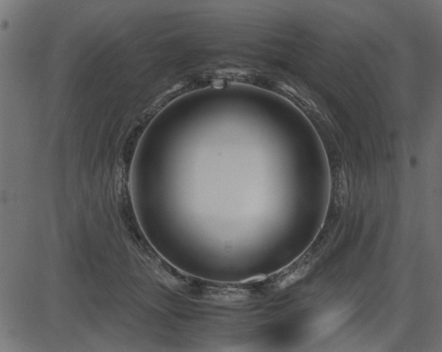 X0000082950463200702011246