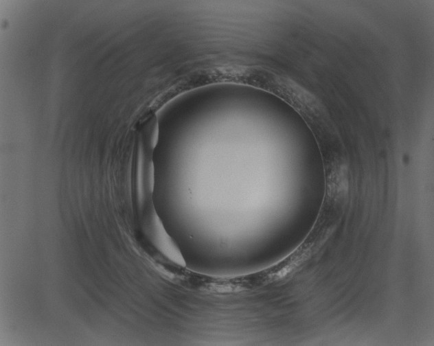 X0000082950464200702011247