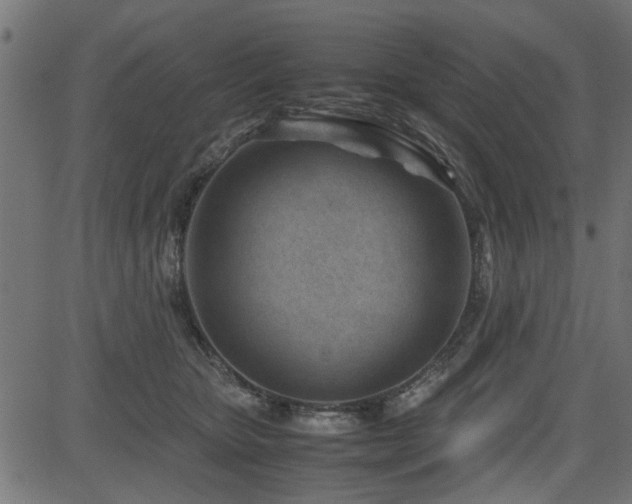 X0000082950467200702011247
