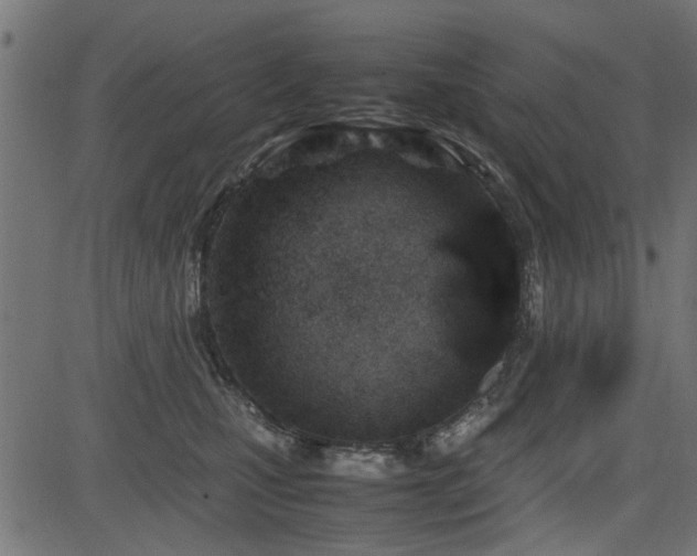 X0000082950471200702011247