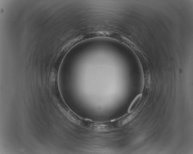 X0000082950472200702011247