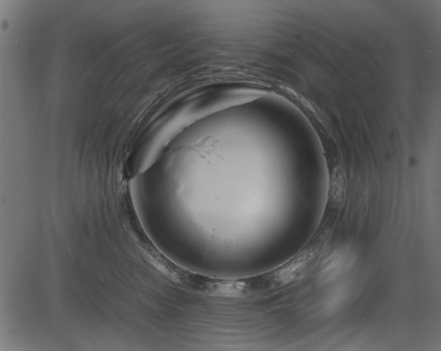 X0000082950474200702011247