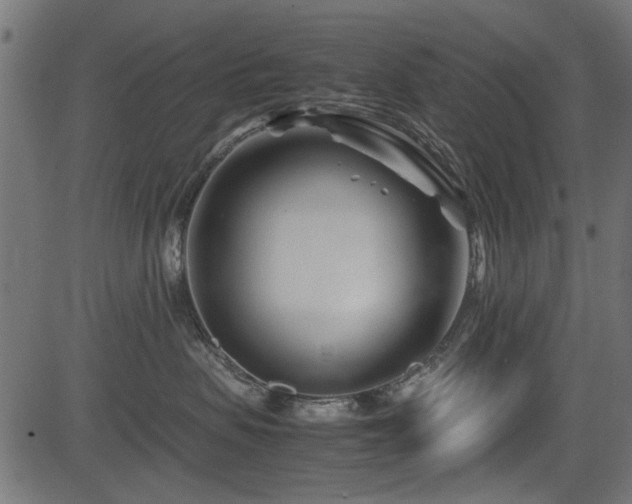 X0000082950479200702011247