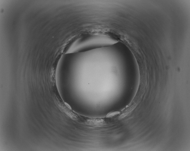 X0000082950480200702011247