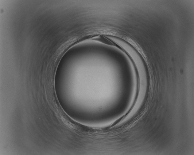 X0000082950481200702011246