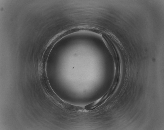 X0000082950484200702011246