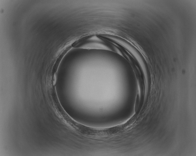 X0000082950485200702011246
