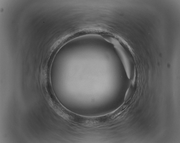 X0000082950487200702011246