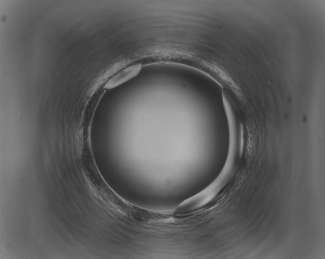X0000082950488200702011246