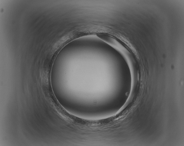 X0000082950489200702011246