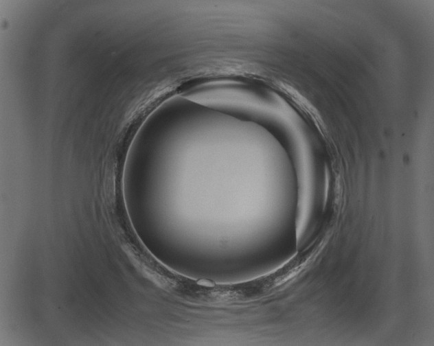 X0000082950493200702011246