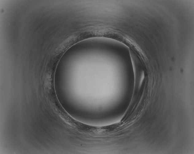 X0000082950497200702011246