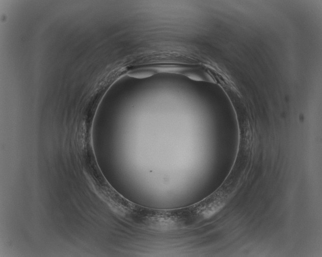 X0000082950498200702011246