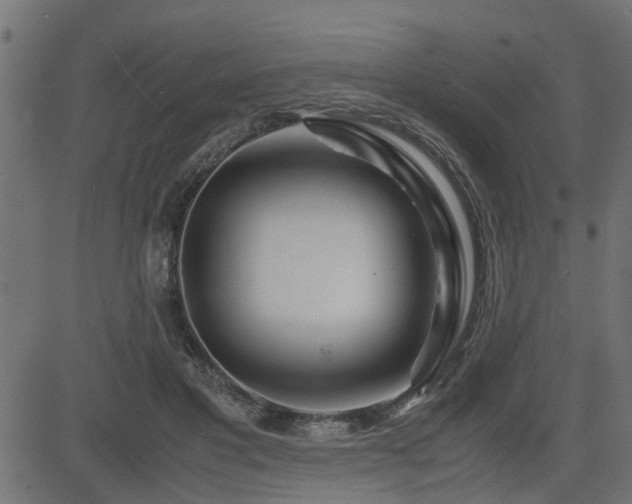 X0000082950501200702011246