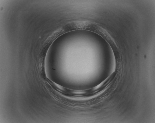 X0000082950505200702011246