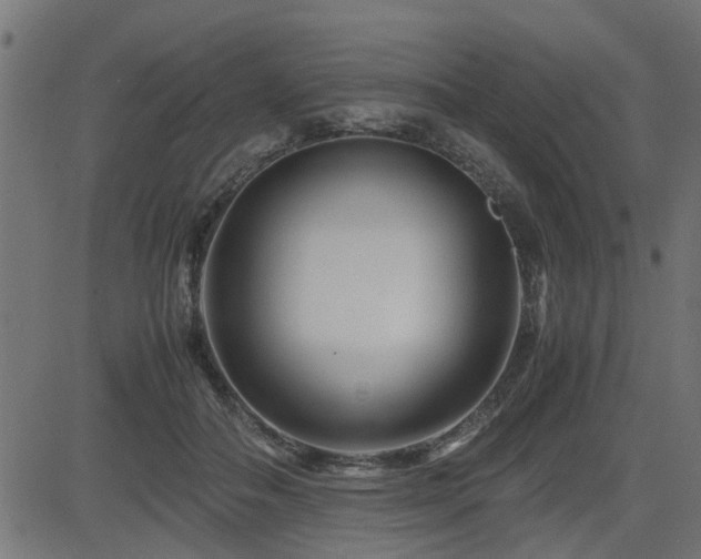 X0000082950506200702011246