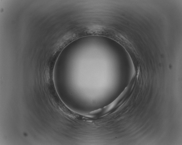 X0000082950508200702011246