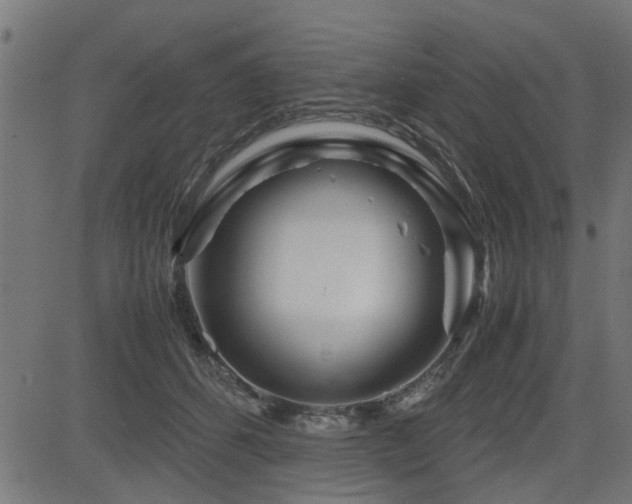 X0000082950512200702011245