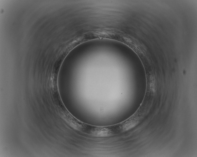 X0000082950514200702011245