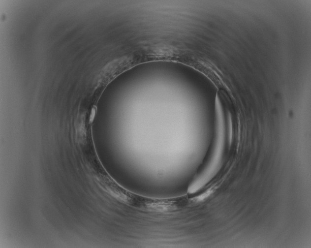 X0000082950516200702011245