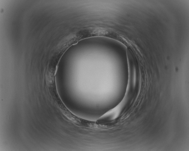 X0000082950517200702011245