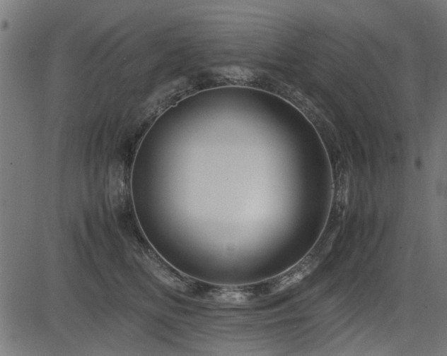 X0000082950518200702011245
