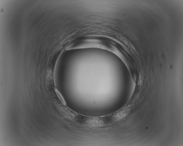 X0000082950521200702011245