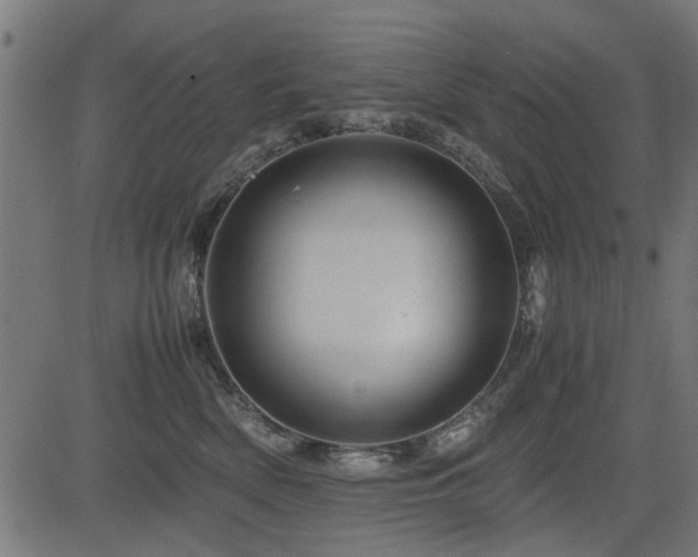 X0000082950522200702011245