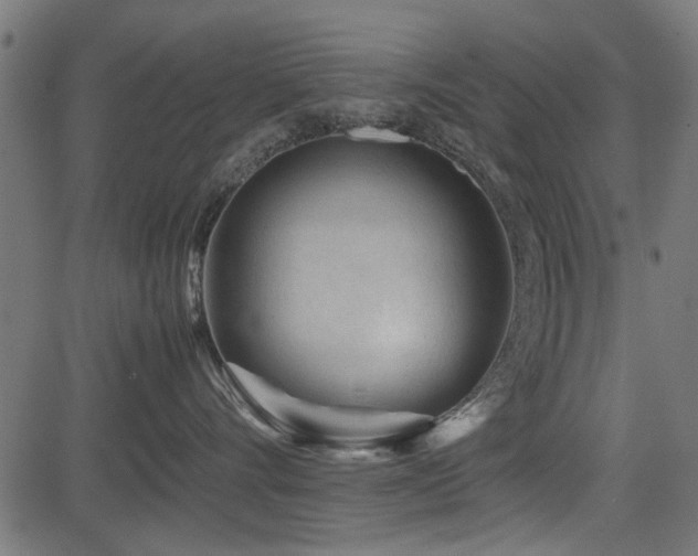 X0000082950528200702011245