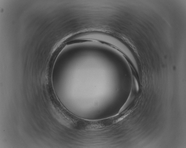 X0000082950536200702011245