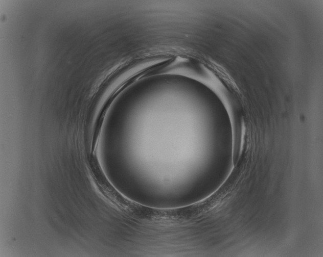 X0000082950538200702011245