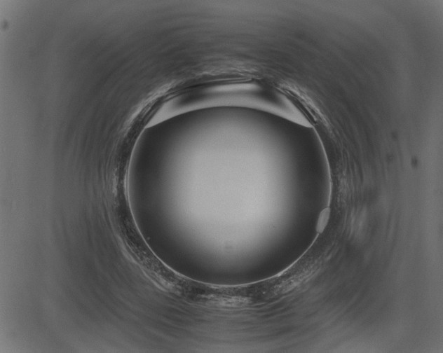 X0000082950539200702011245
