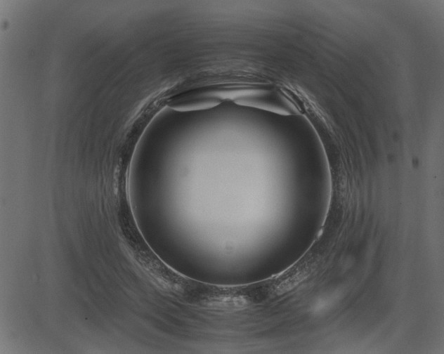 X0000082950543200702011245