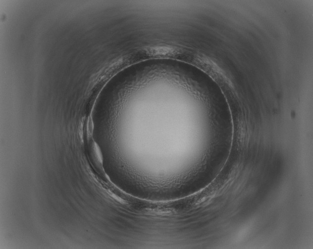 X0000082950545200702011245