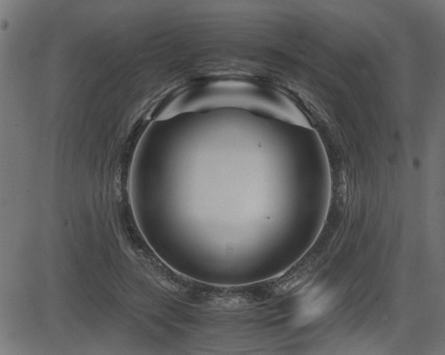X0000082950547200702011245