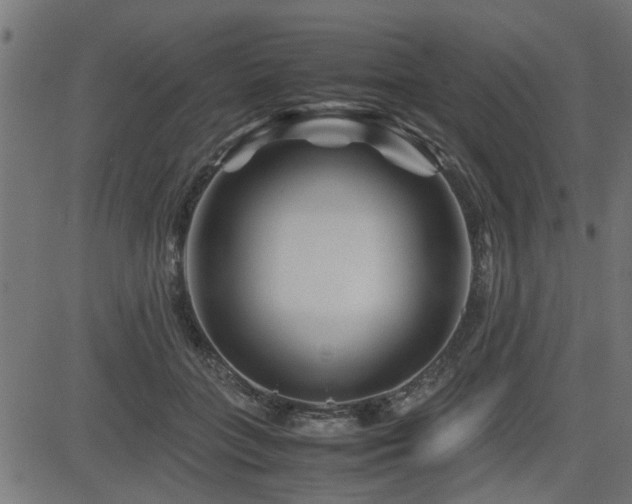X0000082950555200702011245