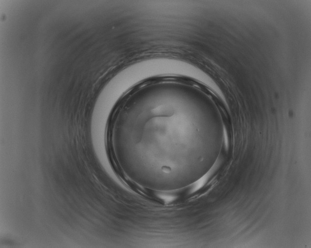 X0000082950556200702011245