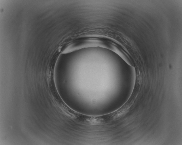 X0000082950558200702011245